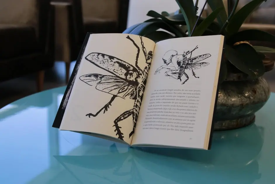 A Metamorfose | Franz Kafka - Imagem 3